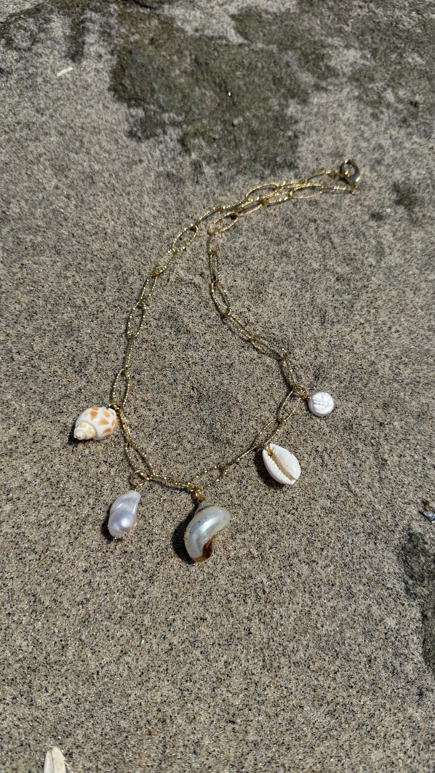 Seashell Charm Necklace