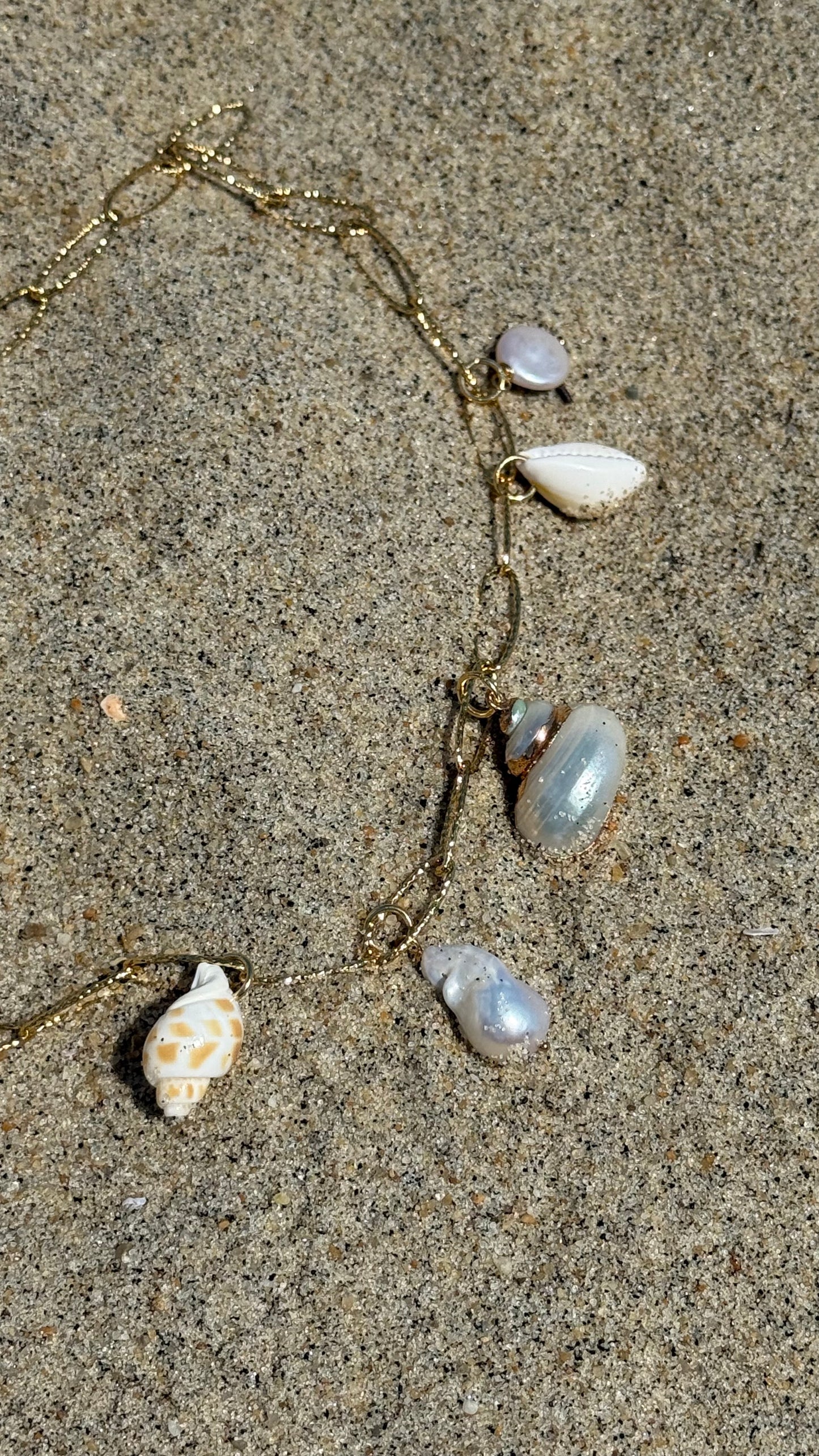 Seashell Charm Necklace